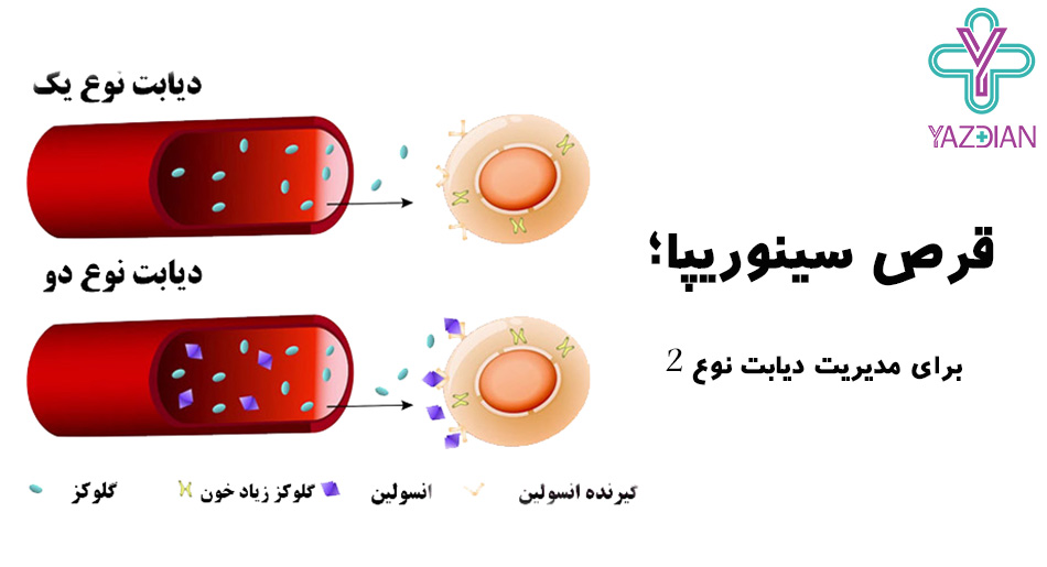 قرص سینوریپا؛ برای مدیریت دیابت نوع 2